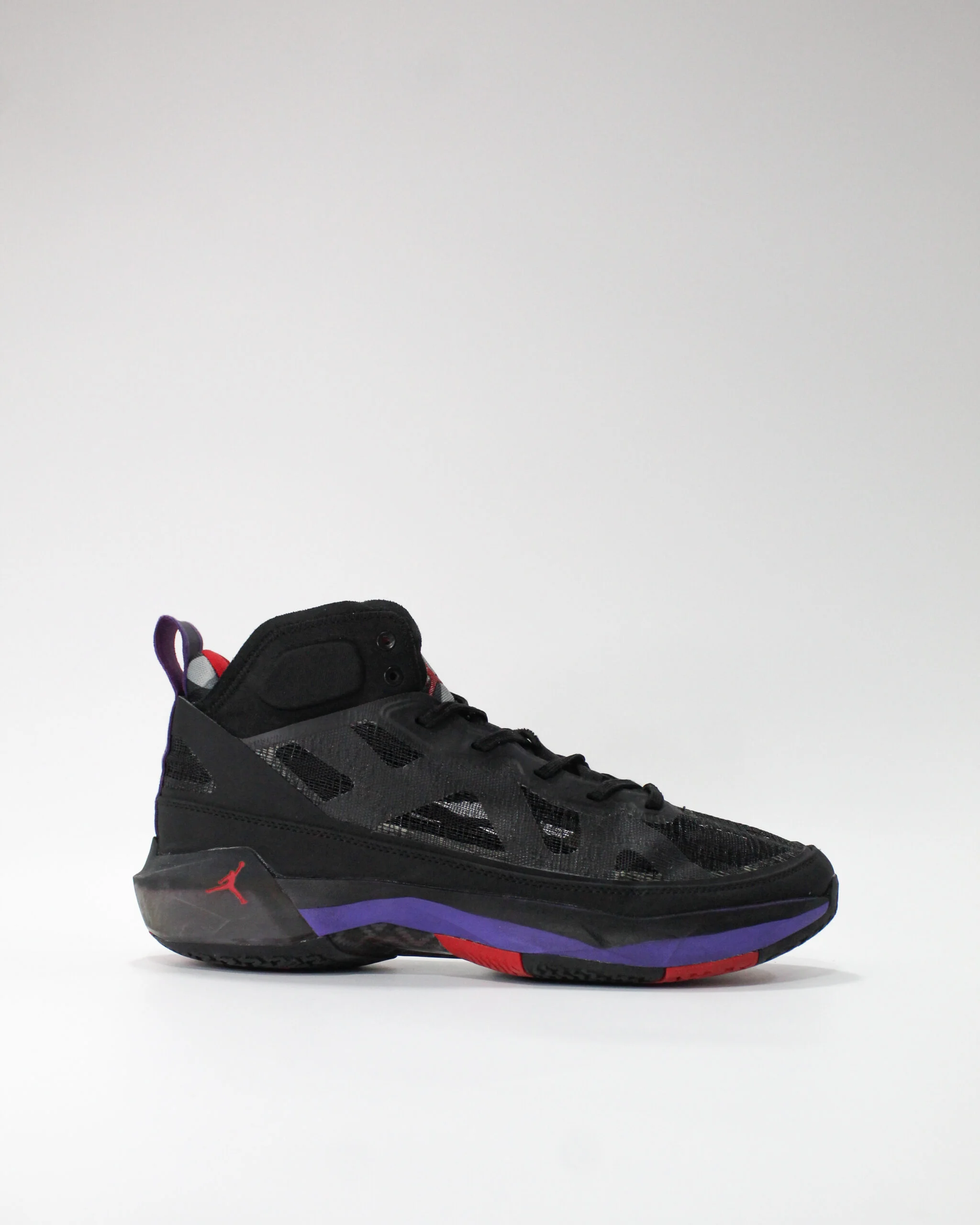 Jordan 37 Raptors