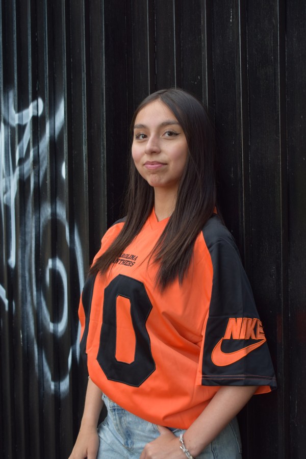 Polera Carolina Panthers